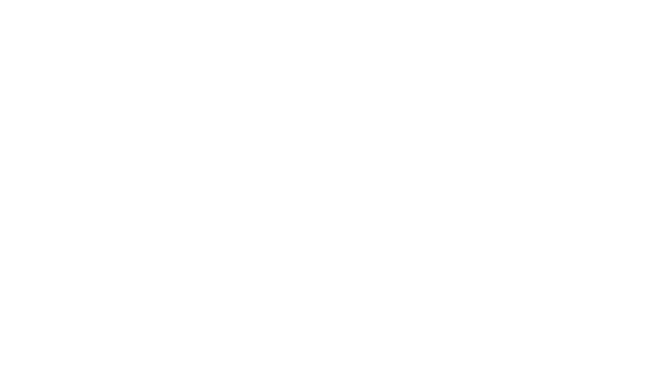 domikat logo white